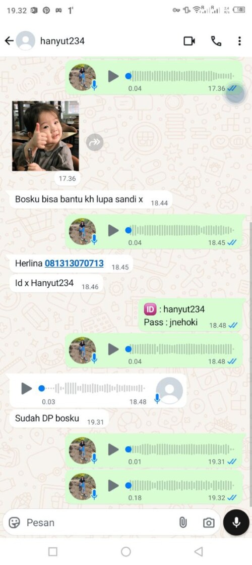 hanyut234.jpeg