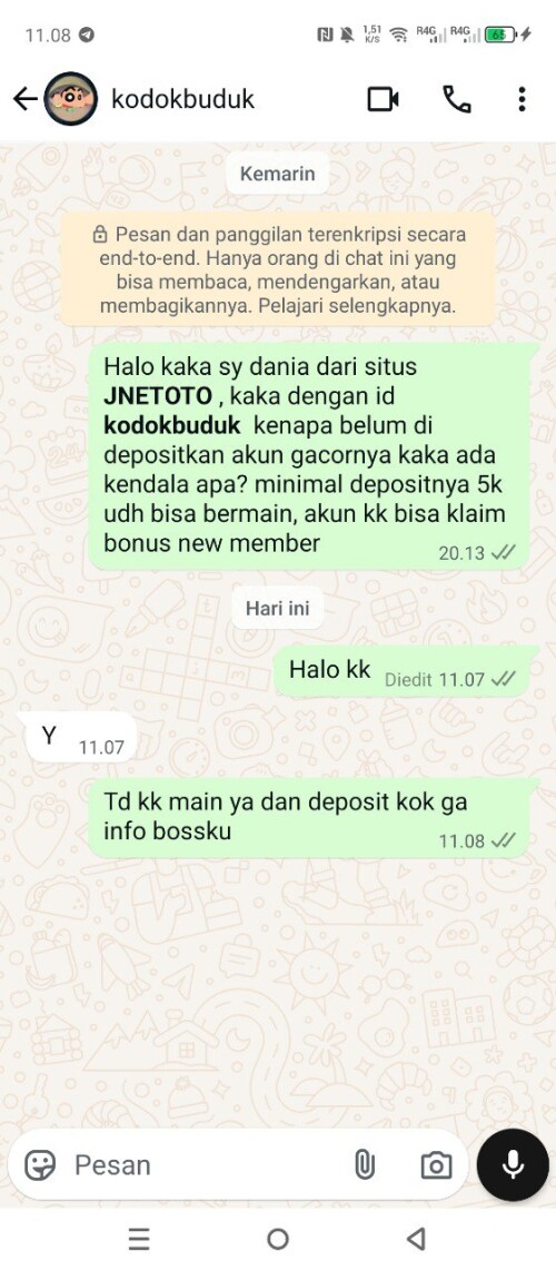 kodokbuduk.jpeg