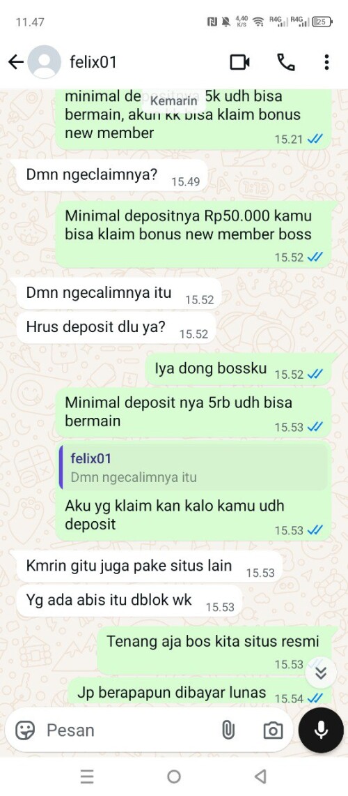 felix01.jpeg
