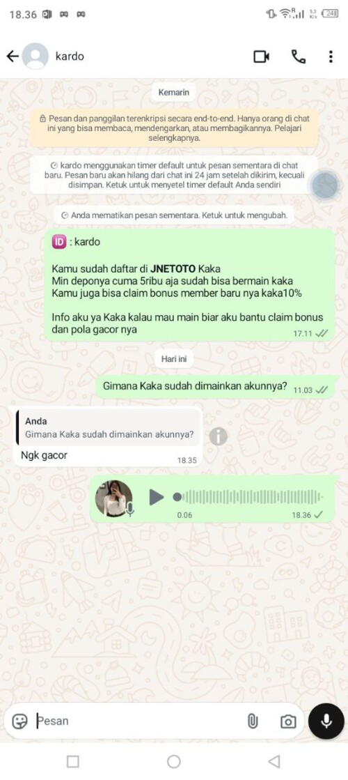 kardo.jpeg