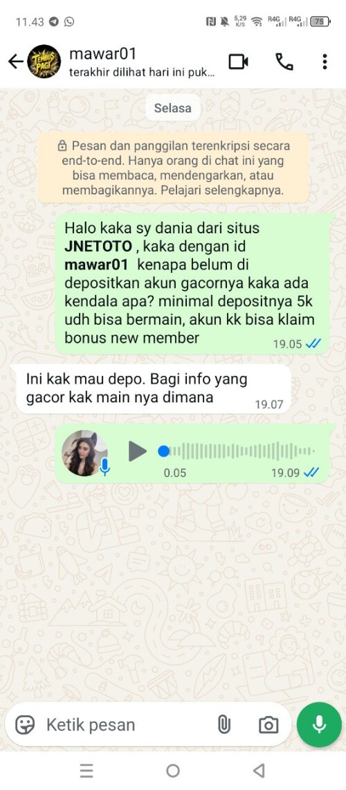 mawar01.jpeg