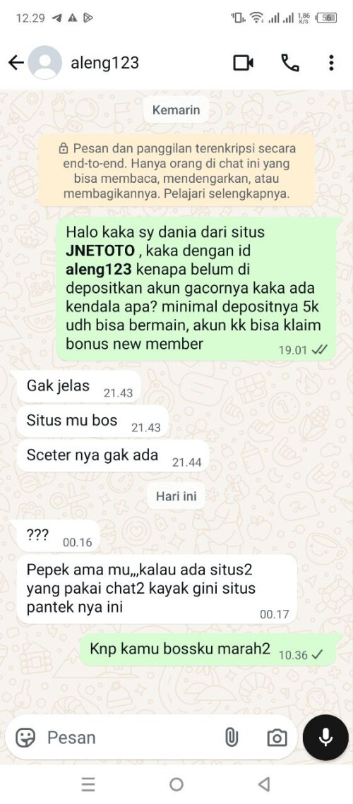 aleng123.jpeg