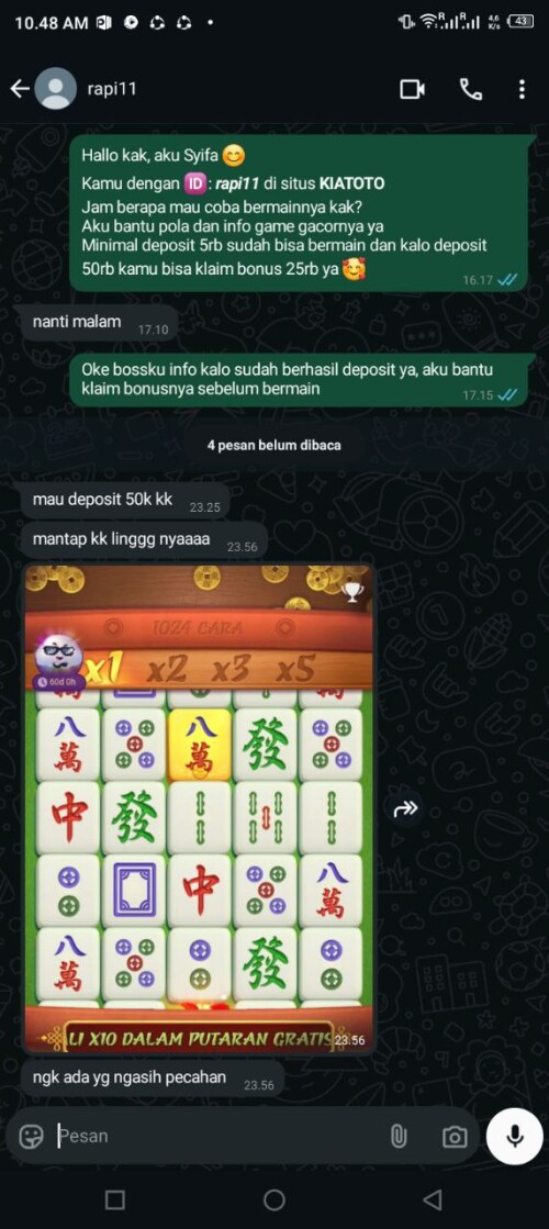 rapi11.jpeg