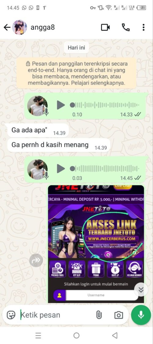 angga8.jpeg