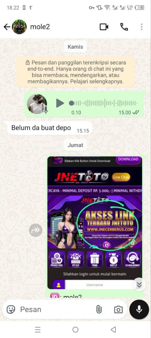 mole2.jpeg