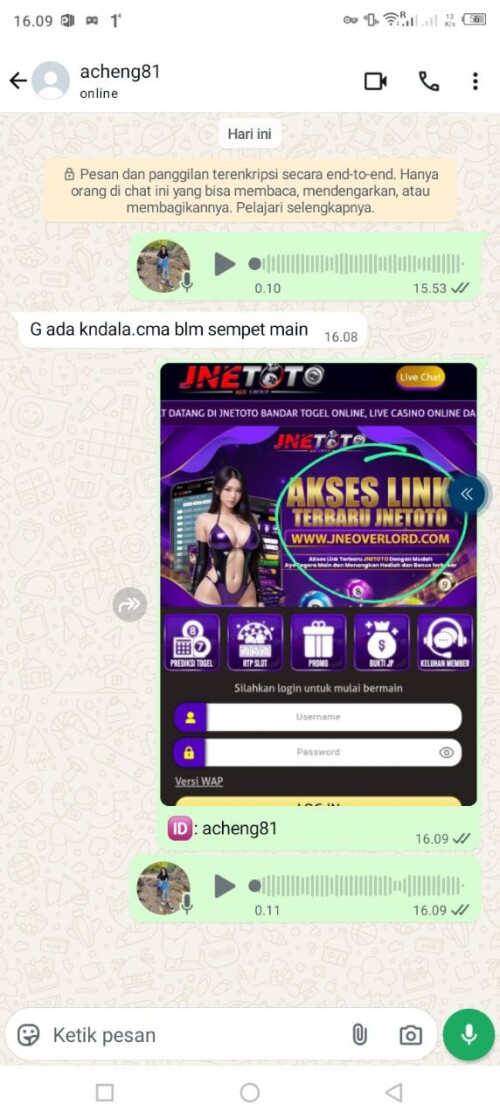 acheng81.jpeg