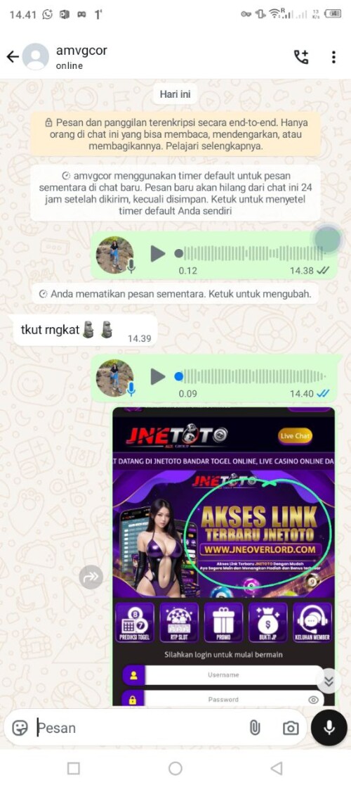 amvgcor.jpeg