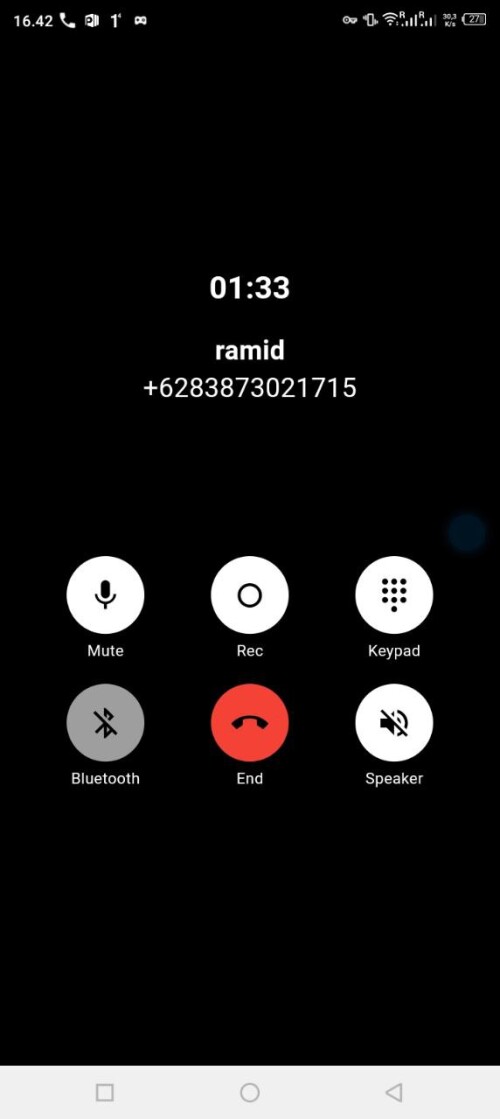 ramid.jpeg