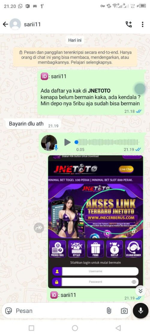 sarii11.jpeg