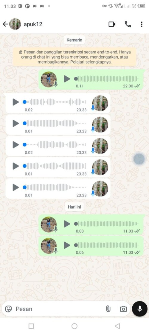 apuk12.jpeg