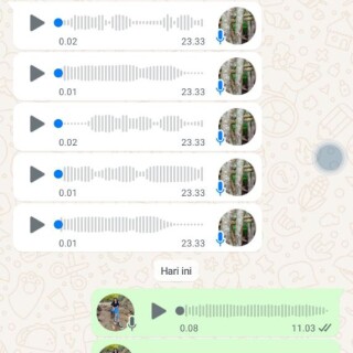 apuk12