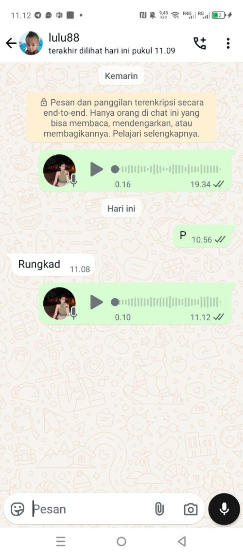 lulu88.jpeg