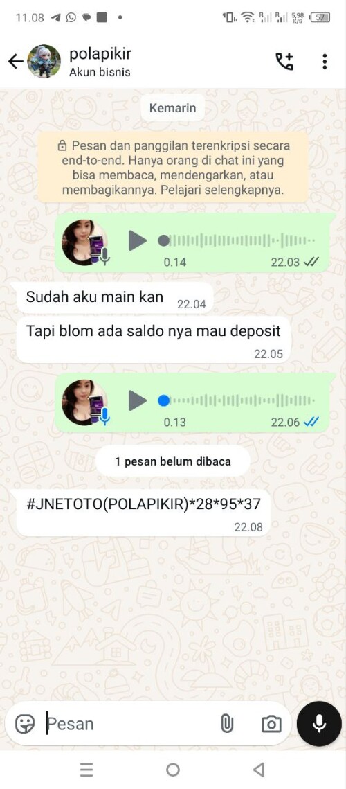 polapikir.jpeg