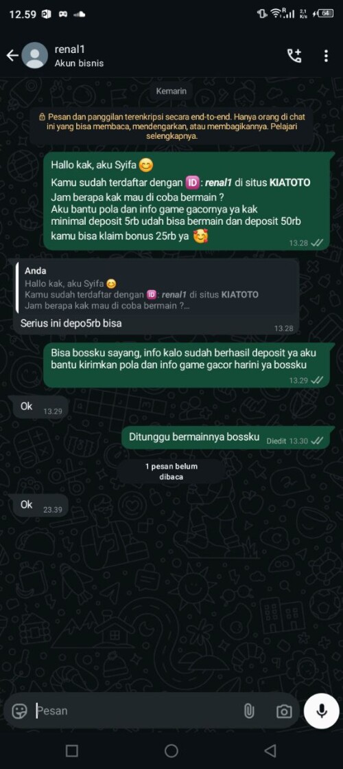 renal1.jpeg