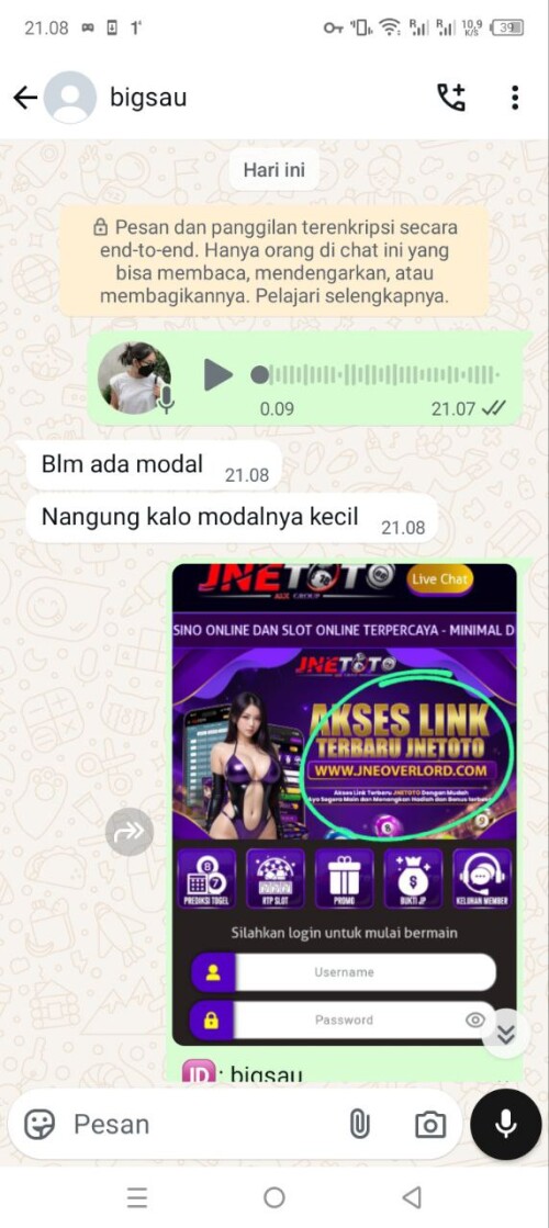 bigsau.jpeg