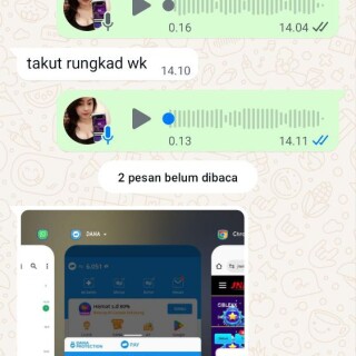ciblekk