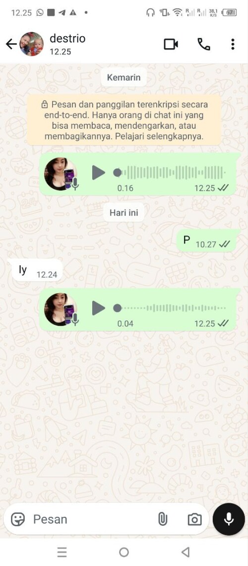 destrio.jpeg