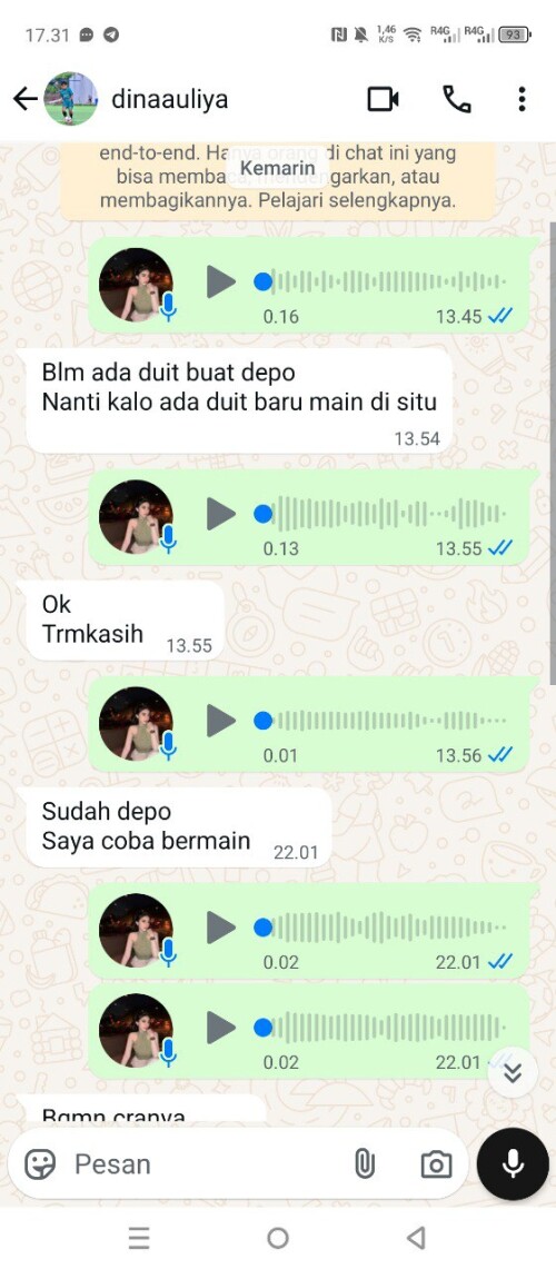 dinaauliya.jpeg