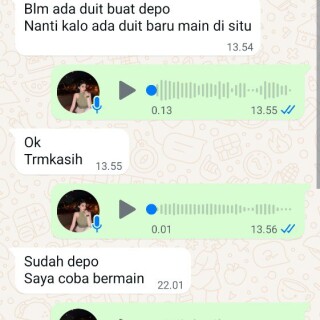 dinaauliya