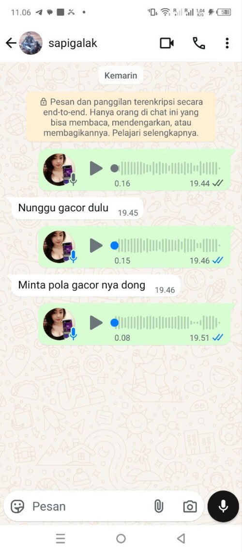 sapigalak.jpeg