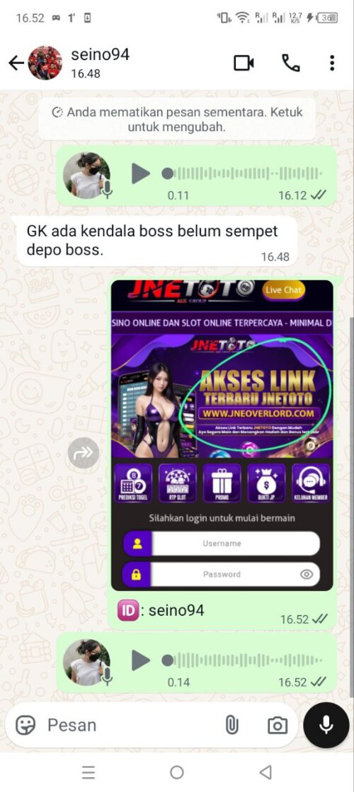 seino94.jpeg