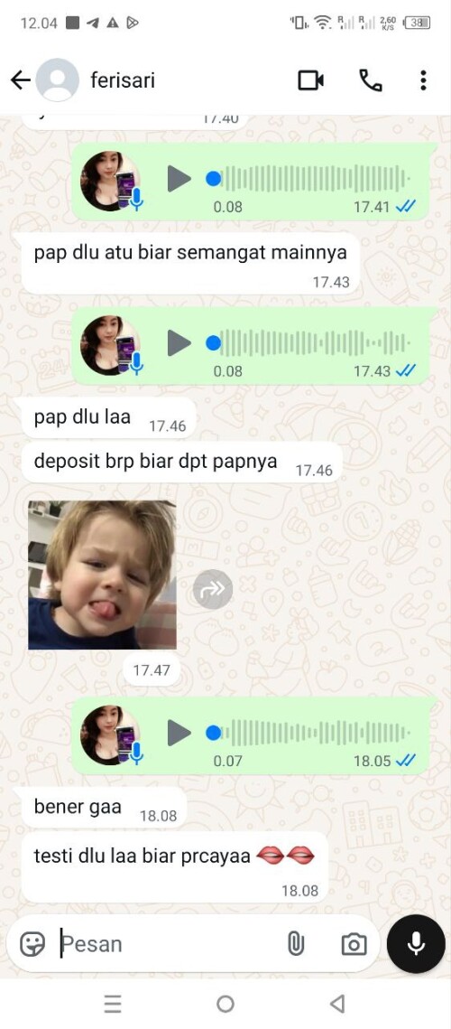 ferisari.jpeg