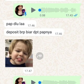ferisari