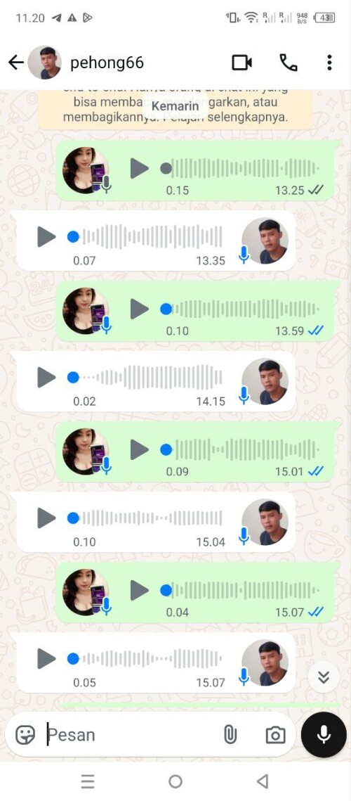 pehong66.jpeg