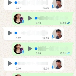 pehong66