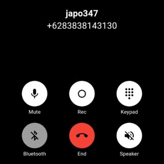 japo347