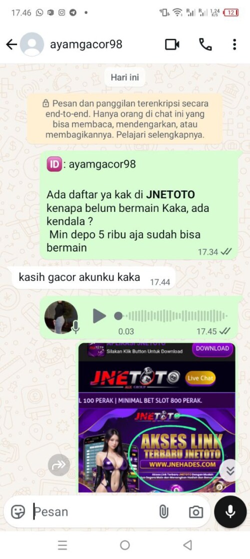 ayamgacor98