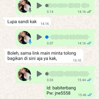 babiterbang