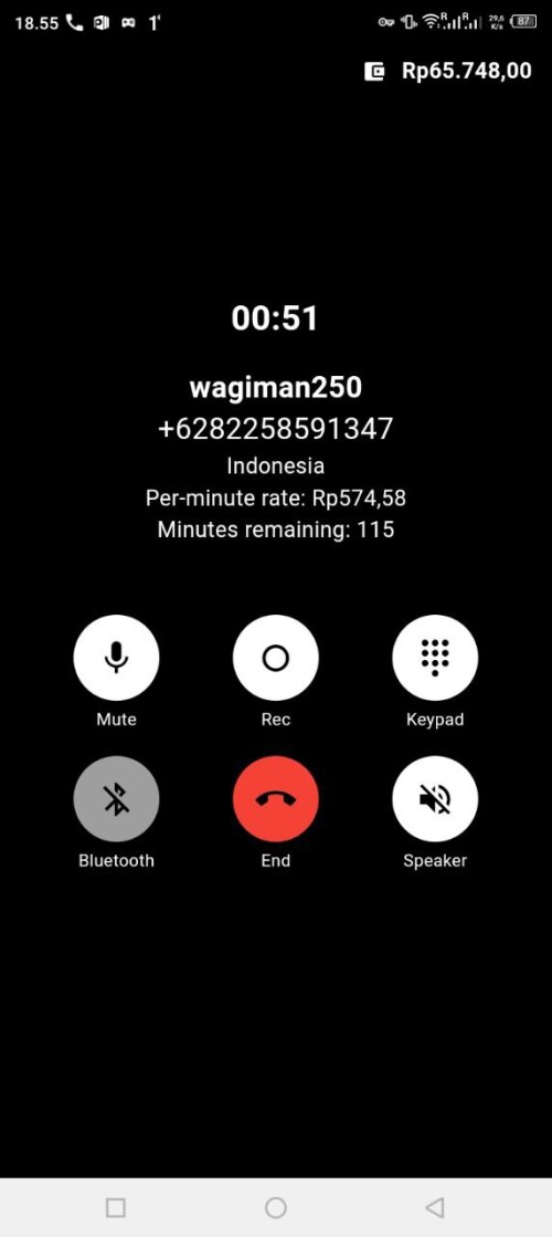 wagiman250