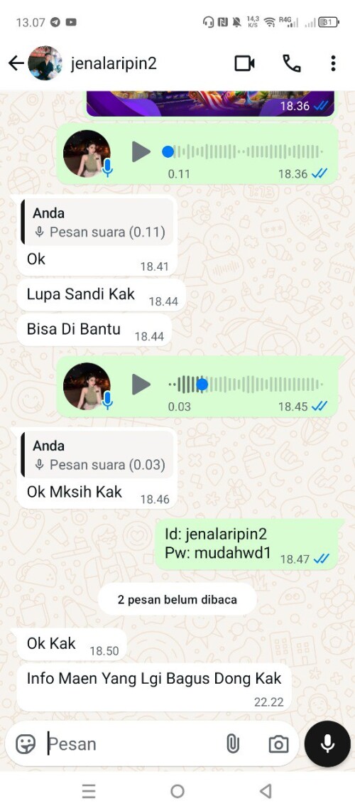 jenalaripin2