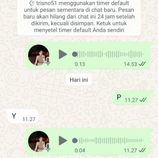 trisno51