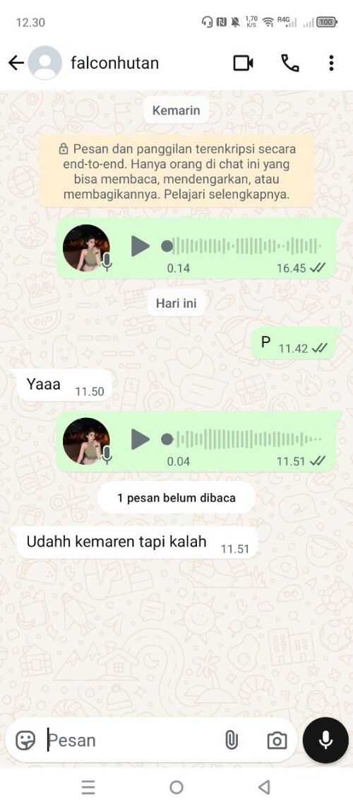 falconhutan