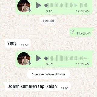 falconhutan