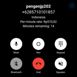pengenjp202