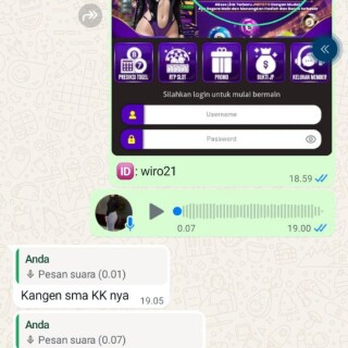 wiro21