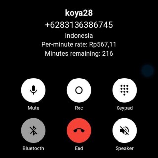 koya28