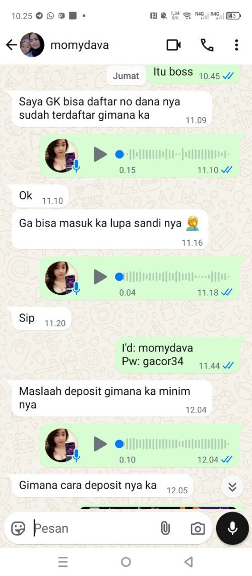 momydava.jpeg
