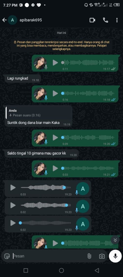 apibarak695.jpeg