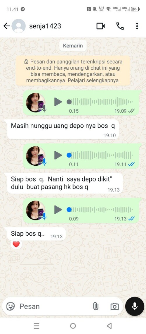 senja1423.jpeg