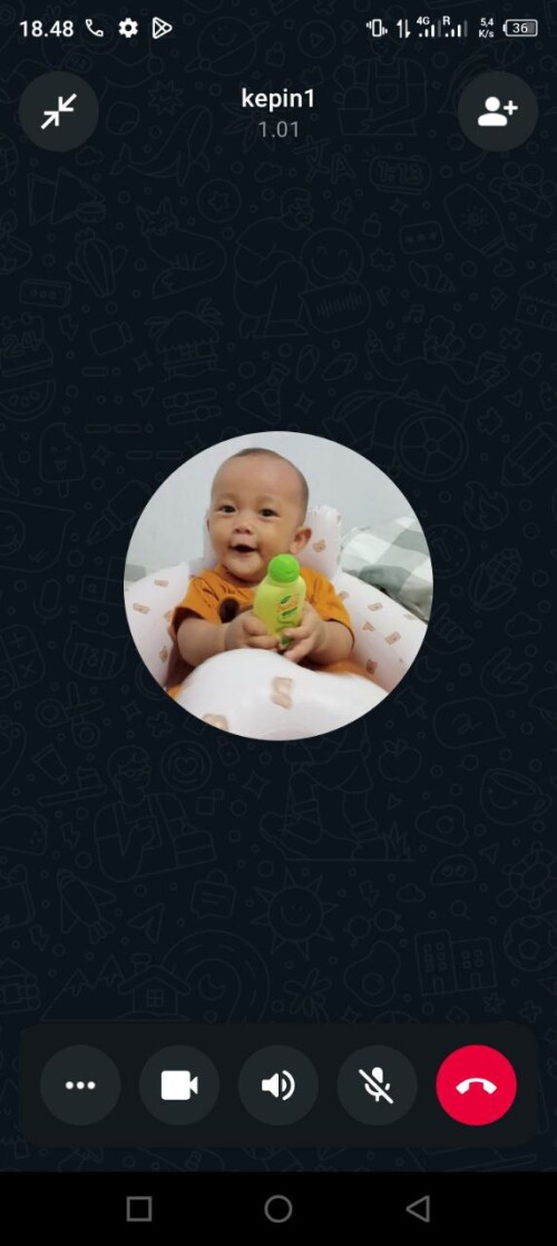 kepin1.jpeg