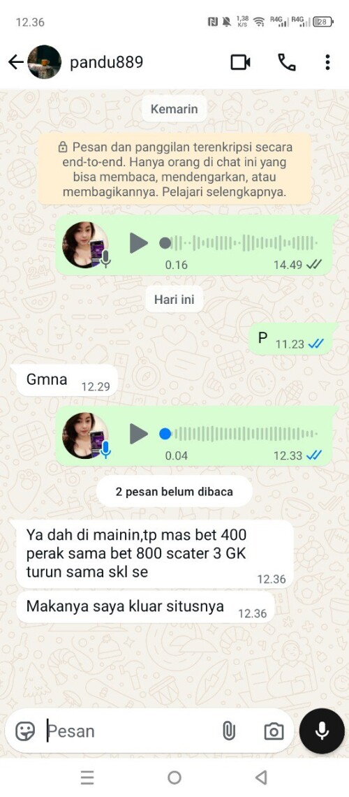 pandu889.jpeg
