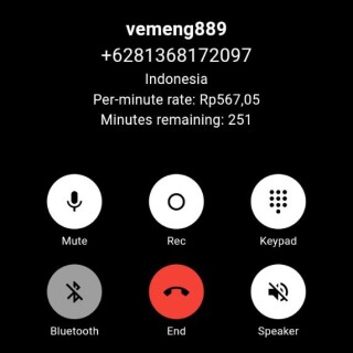 vemeng889