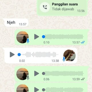 purnomo337
